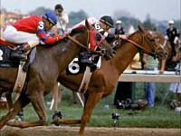 1978 - Affirmed
