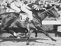 1937 - War Admiral